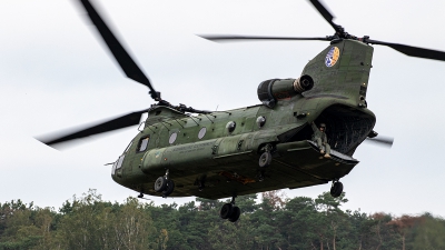 Photo ID 259844 by Jan Eenling. Netherlands Air Force Boeing Vertol CH 47D Chinook, D 665
