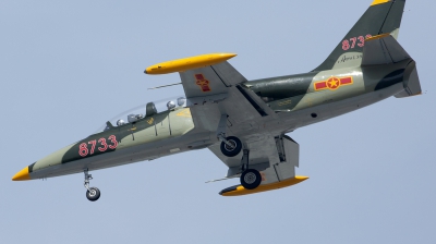 Photo ID 260267 by Thanh Ho. Vietnam Air Force Aero L 39C Albatros, 8733