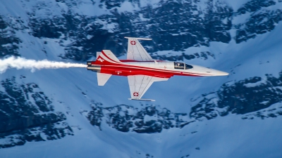 Photo ID 260747 by Viper A.M.W.. Switzerland Air Force Northrop F 5E Tiger II, J 3091