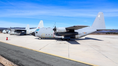 Photo ID 260656 by Ruben Galindo. Spain Air Force Lockheed C 130H Hercules L 382, T 10 08