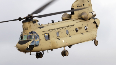 Photo ID 260824 by Mark Broekhans. Netherlands Air Force Boeing Vertol CH 47F Chinook, D 602