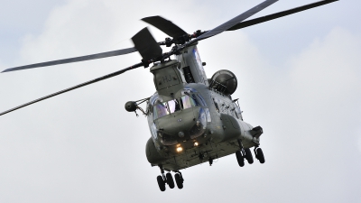 Photo ID 266893 by Tonnie Musila. UK Air Force Boeing Vertol Chinook HC4 CH 47D, ZH895