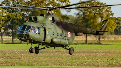 Photo ID 269858 by Nils Berwing. Poland Army Mil Mi 8T, 639
