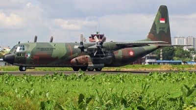 Photo ID 278330 by Eduardo Purba. Indonesia Air Force Lockheed C 130H 30 Hercules L 382, A 1317