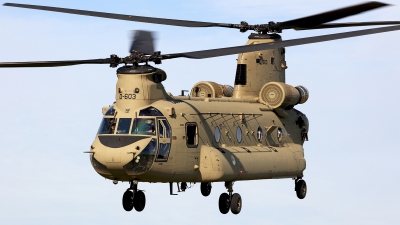 Photo ID 279005 by Carl Brent. Netherlands Air Force Boeing Vertol CH 47F Chinook, D 603