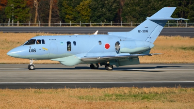Photo ID 280306 by Stephan Franke - Fighter-Wings. Japan Air Force Hawker Siddeley U 125A HS 125 800, 12 3016