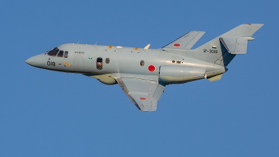 Photo ID 280741 by Lars Kitschke. Japan Air Force Hawker Siddeley U 125A HS 125 800, 12 3018