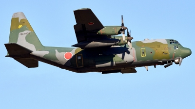Photo ID 283170 by Maurice Kockro. Japan Air Force Lockheed C 130H Hercules L 382, 85 1079