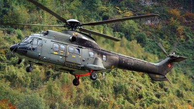 Photo ID 37065 by Karl-Heinz Morawietz. Switzerland Air Force Aerospatiale AS 332M1 Super Puma, T 313