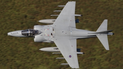 Photo ID 39690 by Tom Gibbons. UK Navy British Aerospace Harrier GR 9, ZD329