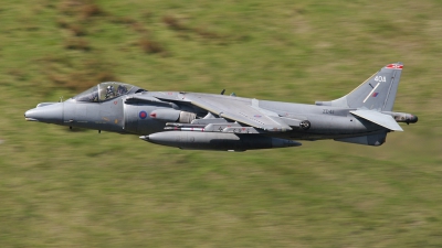 Photo ID 40719 by John Higgins. UK Air Force British Aerospace Harrier GR 7A, ZD411
