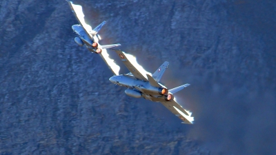 Photo ID 43596 by Martin Thoeni - Powerplanes. Switzerland Air Force McDonnell Douglas F A 18C Hornet, J 5022