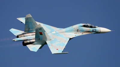 Photo ID 44702 by Tom Dolders. Belarus Air Force Sukhoi Su 27UBM, 63 BLUE