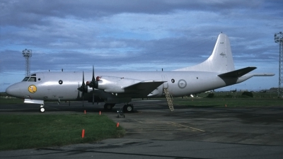 Photo ID 44693 by Tom Gibbons. Australia Air Force Lockheed P 3C Orion, A9 757