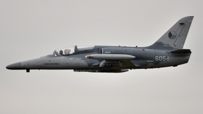 Photo ID 46872 by Stephan Franke - Fighter-Wings. Czech Republic Air Force Aero L 159A ALCA, 6054