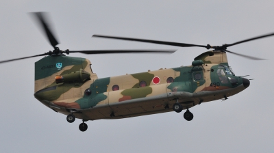 Photo ID 48671 by Peter Terlouw. Japan Air Force Boeing Vertol Kawasaki CH 47JA Chinook, 47 4490
