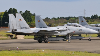 Photo ID 48725 by Peter Terlouw. Japan Air Force McDonnell Douglas F 15DJ Eagle, 02 8073