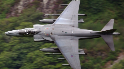 Photo ID 610 by Scott Rathbone. UK Air Force British Aerospace Harrier GR 7, ZD411