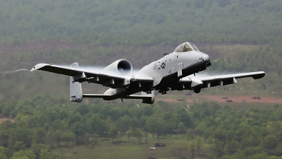 Photo ID 49512 by David F. Brown. USA Air Force Fairchild A 10A Thunderbolt II, 79 0219