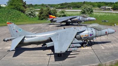 Photo ID 50550 by Eric Tammer. UK Air Force British Aerospace Harrier GR 9, ZD330