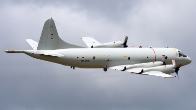 Photo ID 51309 by Rainer Mueller. Germany Navy Lockheed P 3C Orion, 60 08