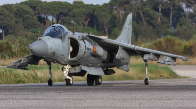 Photo ID 51422 by Ales Hottmar. Spain Navy McDonnell Douglas EAV 8B Harrier II, VA 1B 25