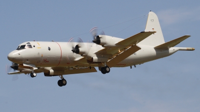 Photo ID 51878 by Philipp Jakob Schumacher. Germany Navy Lockheed P 3C Orion, 60 07