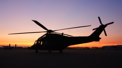 Photo ID 52097 by Frank Grealish. Ireland Air Force AgustaWestland AW139, 275