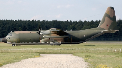 Photo ID 53881 by Günther Feniuk. Portugal Air Force Lockheed C 130H 30 Hercules L 382, 16802