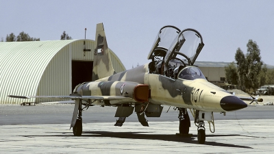 Photo ID 54725 by Carl Brent. Jordan Air Force Northrop F 5F Tiger II, 951