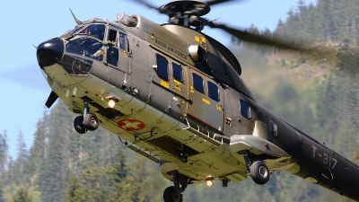 Photo ID 55629 by Martin Thoeni - Powerplanes. Switzerland Air Force Aerospatiale AS 332M1 Super Puma, T 317