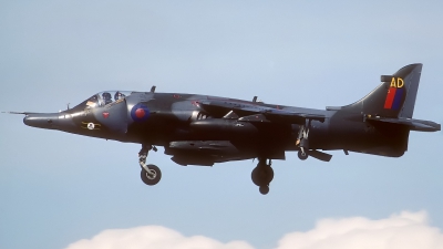 Photo ID 56202 by Rainer Mueller. UK Air Force Hawker Siddeley Harrier GR 3, XV804
