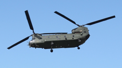 Photo ID 57183 by Mike Griffiths. UK Air Force Boeing Vertol Chinook HC2 CH 47D, ZD980