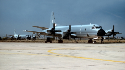 Photo ID 56923 by Carl Brent. Portugal Air Force Lockheed P 3P Orion, 14805