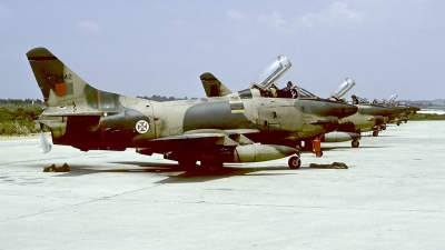 Photo ID 57148 by Carl Brent. Portugal Air Force Fiat G 91R3, 5442