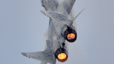 Photo ID 59476 by Martin Thoeni - Powerplanes. Slovakia Air Force Mikoyan Gurevich MiG 29AS, 0619
