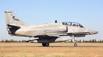 Photo ID 59093 by Carl Brent. Argentina Air Force Douglas TA 4AR Fightinghawk, C 904