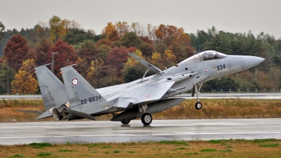 Photo ID 61814 by Eric Tammer. Japan Air Force McDonnell Douglas F 15J Eagle, 22 8934