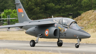 Photo ID 62066 by Rob Hendriks. France Air Force Dassault Dornier Alpha Jet E, E83