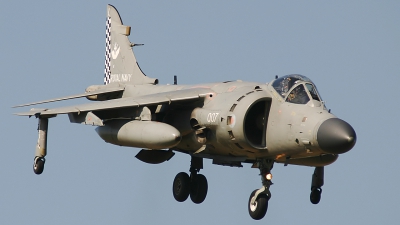 Photo ID 62441 by Rob Hendriks. UK Navy British Aerospace Sea Harrier FA 2, ZH804