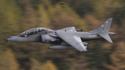 Photo ID 62640 by Tom Gibbons. UK Air Force British Aerospace Harrier T 10, ZH662