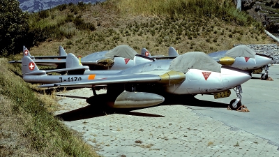 Photo ID 63522 by Carl Brent. Switzerland Air Force De Havilland DH 100 Vampire FB 6, J 1170