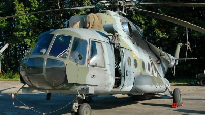 Photo ID 63544 by Radim Spalek. Czech Republic Air Force Mil Mi 171ShM, 9813