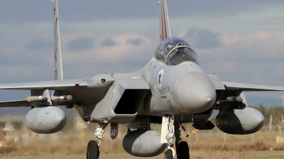 Photo ID 63746 by Giampaolo Tonello. Israel Air Force McDonnell Douglas F 15D Eagle, 979