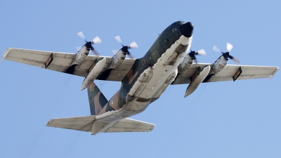 Photo ID 64347 by Fernando Sousa. Portugal Air Force Lockheed C 130H Hercules L 382, 16804