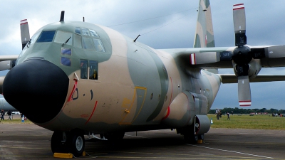 Photo ID 65801 by Fernando Sousa. Oman Air Force Lockheed C 130H Hercules L 382, 501