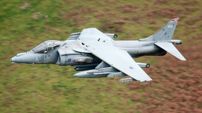 XV810 - Royal Air Force British Aerospace Harrier GR.3 at Newark Air Museum, Photo ID 299350