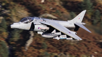 Photo ID 66855 by John Higgins. UK Air Force British Aerospace Harrier GR 9, ZG859
