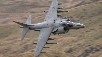 Photo ID 71162 by Adrian Harrison. UK Air Force British Aerospace Harrier GR 9, ZD436