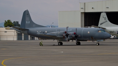 Photo ID 74977 by Steve Burke. Canada Air Force Lockheed CP 140 Aurora, 140104